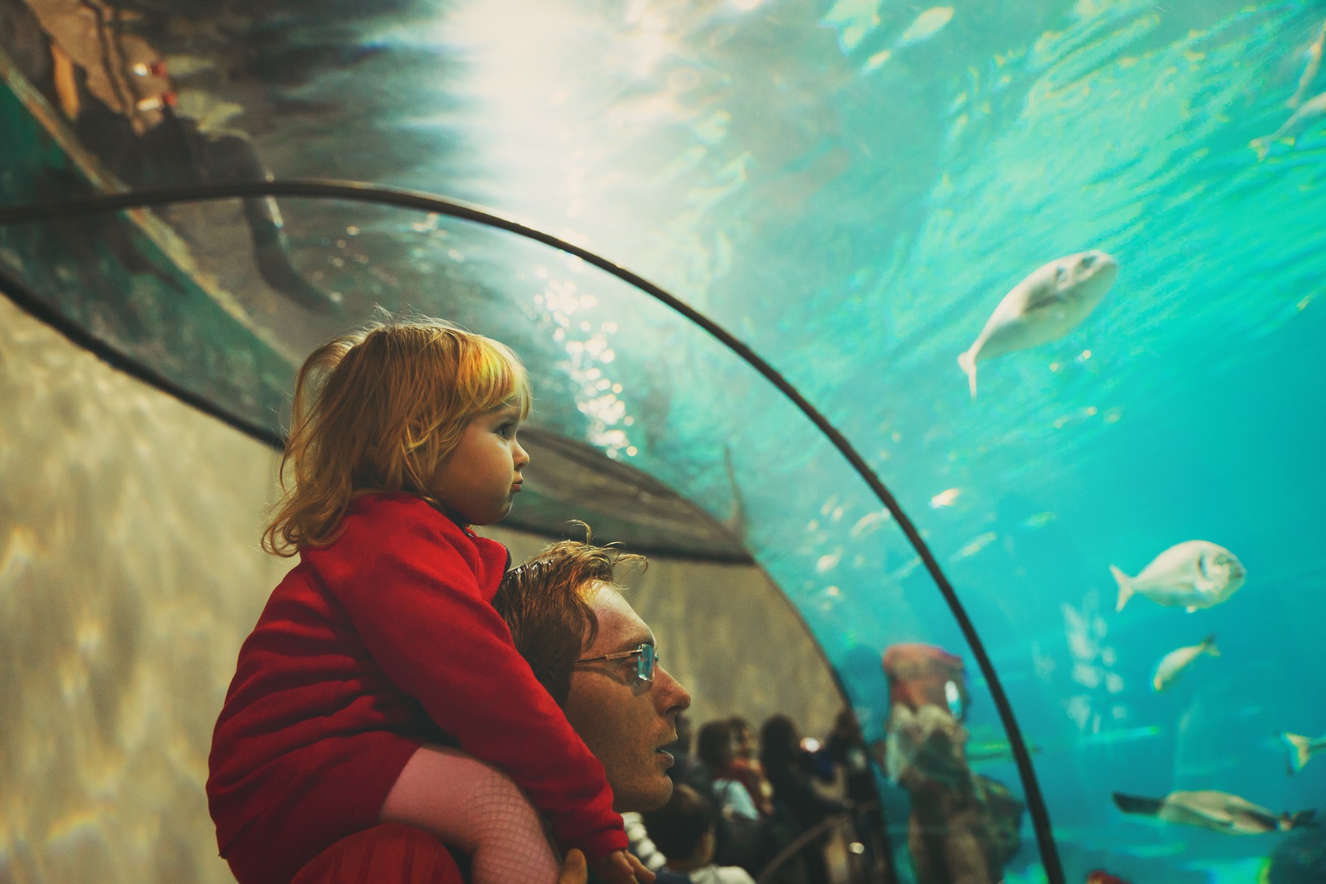 father and little daughter watching fishes in large aquarium